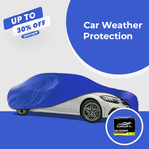 Car Weather Protection